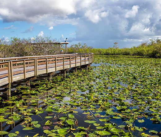 Everglades National Park, Miami
