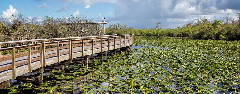 Everglades National Park, Miami